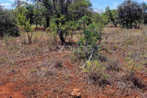 Helårsgrund i Benafim, Faro, Benafim - € 40.000 | Ref: ZMPT558350 - foto 11
