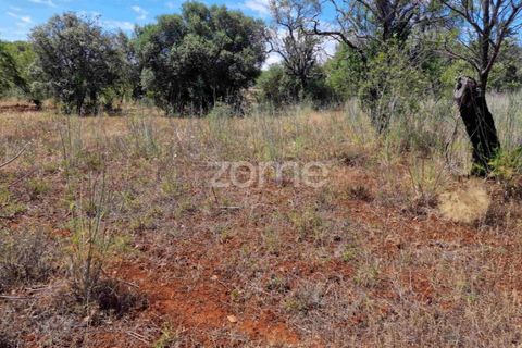 Helårsgrund i Benafim, Faro, Benafim - € 40.000 | Ref: ZMPT558350 - foto 13