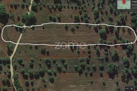 Helårsgrund i Benafim, Faro, Benafim - € 40.000 | Ref: ZMPT558350 - foto 15