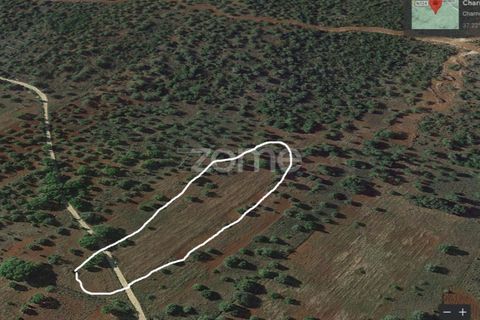 Helårsgrund i Benafim, Faro, Benafim - € 40.000 | Ref: ZMPT558350 - foto 16