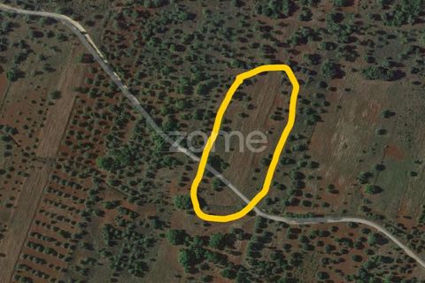 Helårsgrund i Benafim, Faro, Benafim - € 40.000 | Ref: ZMPT558350 - foto 17
