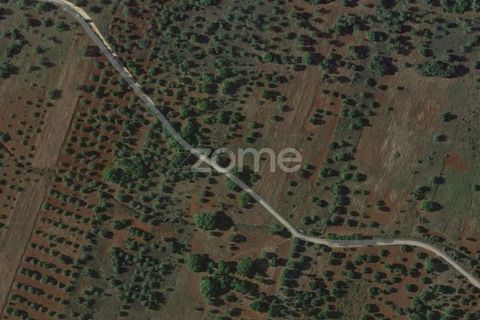 Helårsgrund i Benafim, Faro, Benafim - € 40.000 | Ref: ZMPT558350 - foto 18