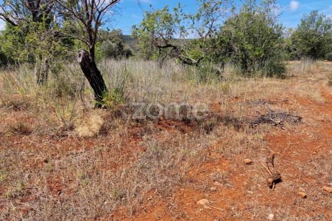 Helårsgrund i Benafim, Faro, Benafim - € 40.000 | Ref: ZMPT558350 - foto 12