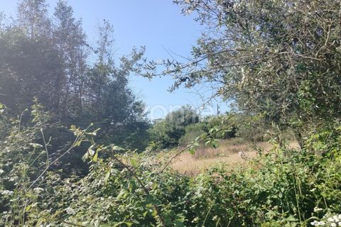 Terra a Alter do Chao, Portalegre, Alter do Chao - € 14.900 | Ref: ZMPT569958 - foto 15
