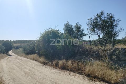 Terra a Alter do Chao, Portalegre, Alter do Chao - € 14.900 | Ref: ZMPT569958 - foto 19