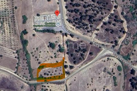Terra a Alter do Chao, Portalegre, Alter do Chao - € 14.900 | Ref: ZMPT569958 - foto 21