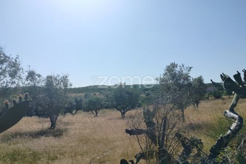 Grond in Alter do Chao, Portalegre, Alter do Chao - € 14.900 | Ref: ZMPT569958 - foto 1