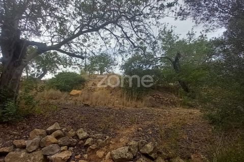 Villa i Estoi, Faro, Estoi - € 197.000 | Ref: ZMPT562407 - foto 3