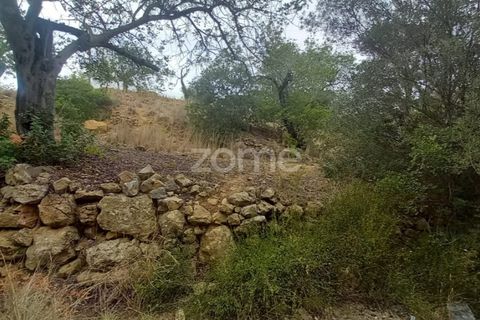 Villa i Estoi, Faro, Estoi - € 197.000 | Ref: ZMPT562407 - foto 5