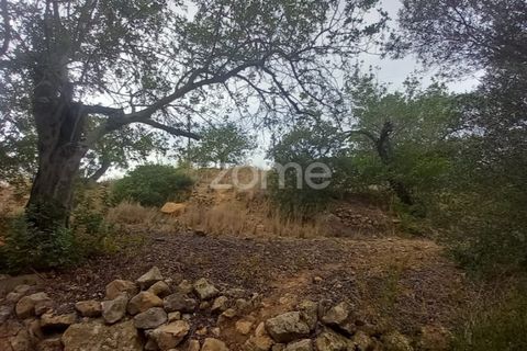Villa i Estoi, Faro, Estoi - € 197.000 | Ref: ZMPT562407 - foto 6
