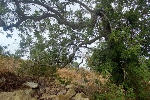 Villa i Estoi, Faro, Estoi - € 197.000 | Ref: ZMPT562407 - foto 8