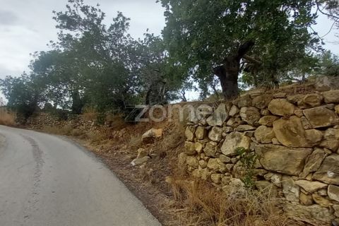 Villa i Estoi, Faro, Estoi - € 197.000 | Ref: ZMPT562407 - foto 9