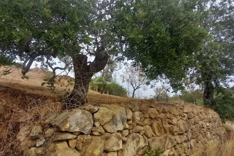 Villa i Estoi, Faro, Estoi - € 197.000 | Ref: ZMPT562407 - foto 10