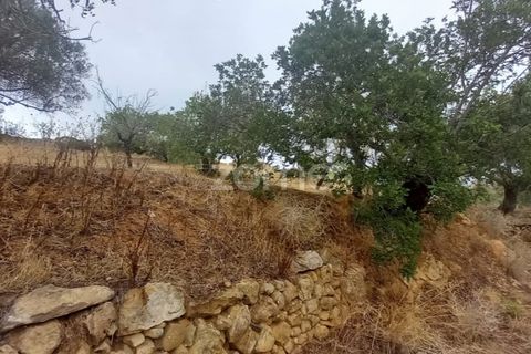 Villa i Estoi, Faro, Estoi - € 197.000 | Ref: ZMPT562407 - foto 11