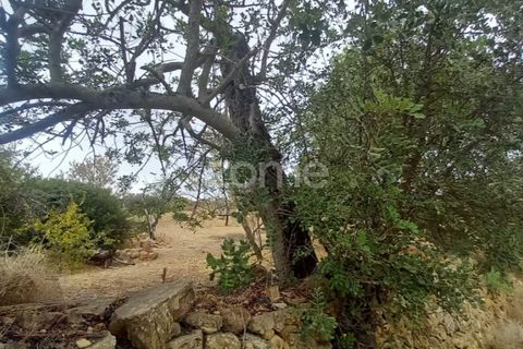 Villa i Estoi, Faro, Estoi - € 197.000 | Ref: ZMPT562407 - foto 12