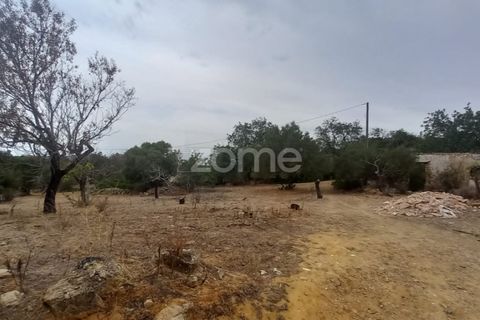 Villa i Estoi, Faro, Estoi - € 197.000 | Ref: ZMPT562407 - foto 21