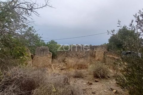 Villa i Estoi, Faro, Estoi - € 197.000 | Ref: ZMPT562407 - foto 30