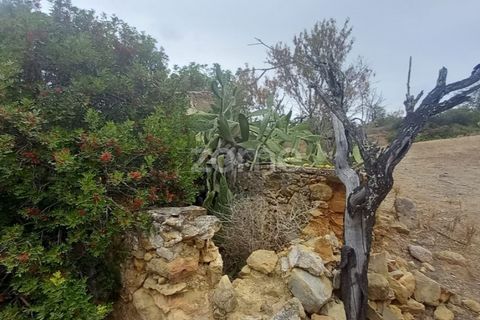 Villa i Estoi, Faro, Estoi - € 197.000 | Ref: ZMPT562407 - foto 38