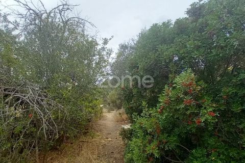 Villa i Estoi, Faro, Estoi - € 197.000 | Ref: ZMPT562407 - foto 39