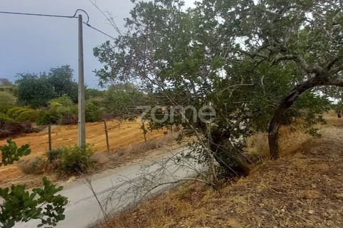 Villa i Estoi, Faro, Estoi - € 197.000 | Ref: ZMPT562407 - foto 42