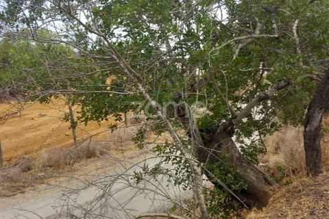 Villa i Estoi, Faro, Estoi - € 197.000 | Ref: ZMPT562407 - foto 44