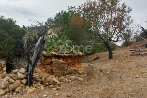 Villa i Estoi, Faro, Estoi - € 197.000 | Ref: ZMPT562407 - foto 45