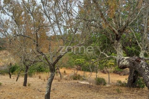 Villa i Estoi, Faro, Estoi - € 197.000 | Ref: ZMPT562407 - foto 46