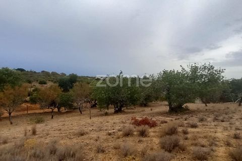 Villa i Estoi, Faro, Estoi - € 197.000 | Ref: ZMPT562407 - foto 48