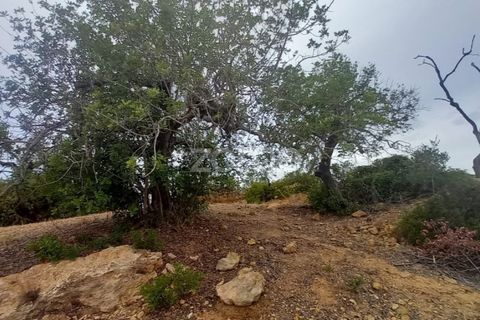 Villa i Estoi, Faro, Estoi - € 197.000 | Ref: ZMPT562407 - foto 50