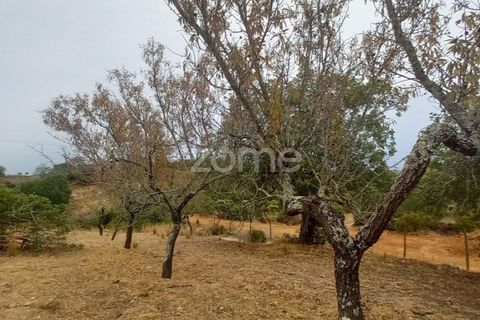 Villa i Estoi, Faro, Estoi - € 197.000 | Ref: ZMPT562407 - foto 1