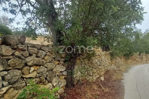 Villa i Estoi, Faro, Estoi - € 108.000 | Ref: ZMPT562414 - foto 6