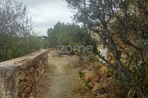 Villa i Estoi, Faro, Estoi - € 108.000 | Ref: ZMPT562414 - foto 20
