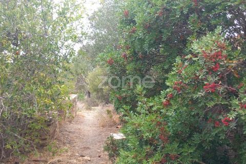 Villa i Estoi, Faro, Estoi - € 108.000 | Ref: ZMPT562414 - foto 23
