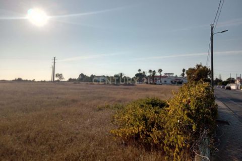 Helårsgrund i Lagoa, Faro, Lagoa - € 1.150.000 | Ref: C0507-00073 - foto 5