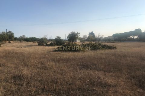 Helårsgrund i Lagoa, Faro, Lagoa - € 1.150.000 | Ref: C0507-00073 - foto 6