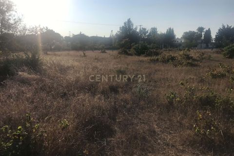 Helårsgrund i Lagoa, Faro, Lagoa - € 1.150.000 | Ref: C0507-00073 - foto 7