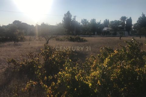 Helårsgrund i Lagoa, Faro, Lagoa - € 1.150.000 | Ref: C0507-00073 - foto 17