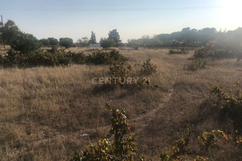 Helårsgrund i Lagoa, Faro, Lagoa - € 1.150.000 | Ref: C0507-00073 - foto 19