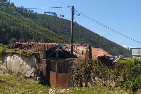Villa i Ponte de Lima, Viana do Castelo, Ponte de Lima - € 129.900 | Ref: ZMPT556825 - foto 2