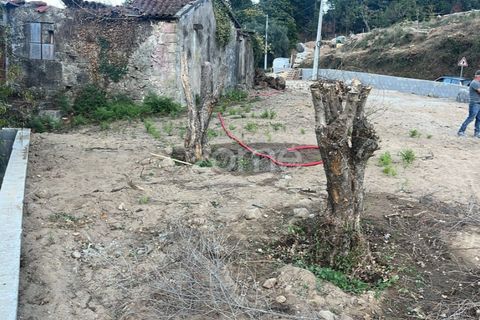 Villa i Ponte de Lima, Viana do Castelo, Ponte de Lima - € 129.900 | Ref: ZMPT556825 - foto 10