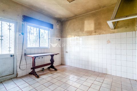 Byhus i Ourem, Santarem, Ourem - € 195.000 | Ref: flP2092 - foto 17