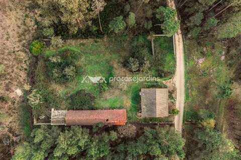 Byhus i Ourem, Santarem, Ourem - € 195.000 | Ref: flP2092 - foto 21