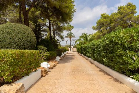 Villa i S'argamassa, Ibiza, S'argamassa - € 8.950.000 | Ref: 545848 - foto 11