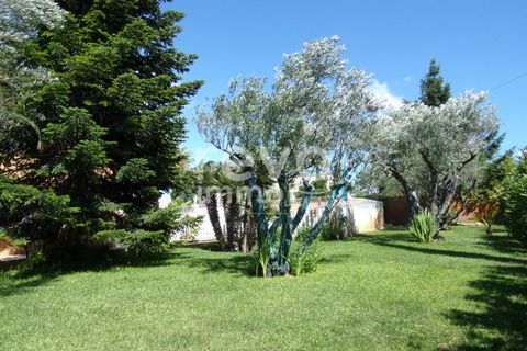 Villa i Pezenas, Herault, Pezenas - € 572.000 | Ref: 4901049965 - foto 4