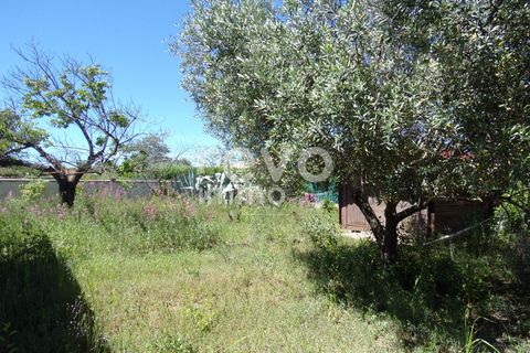 Villa a Paulhan, Herault, Paulhan - € 310.000 | Ref: 4901049741 - foto 11