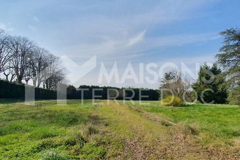 Villa a Mazamet, Tarn, Mazamet - € 196.400 | Ref: MZT29012025IRIS - foto 2