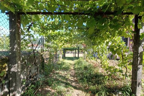 Villa i Ponte de Lima, Viana do Castelo, Ponte de Lima - € 280.000 | Ref: 251240202 - foto 12