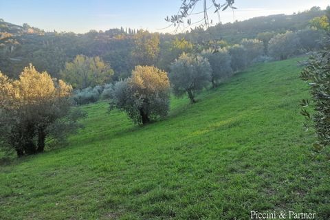 Lejlighed i Perugia, Perugia, Perugia - € 139.000 | Ref: PG1769 - foto 45