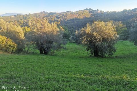 Lejlighed i Perugia, Perugia, Perugia - € 139.000 | Ref: PG1769 - foto 46