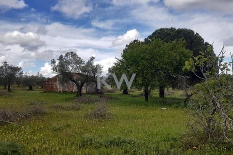 Helårsgrund i Vila Nova de Sao Bento e Vale de Vargo, Beja, Vila Nova de Sao Bento e Vale de Vargo - € 39.500 | Ref: KWPT-009358 - foto 5